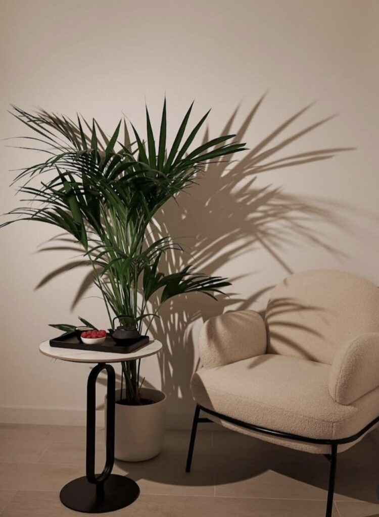 img 20260303 174731 centro